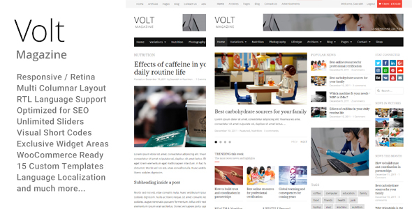 Volt Preview Wordpress Theme - Rating, Reviews, Preview, Demo & Download