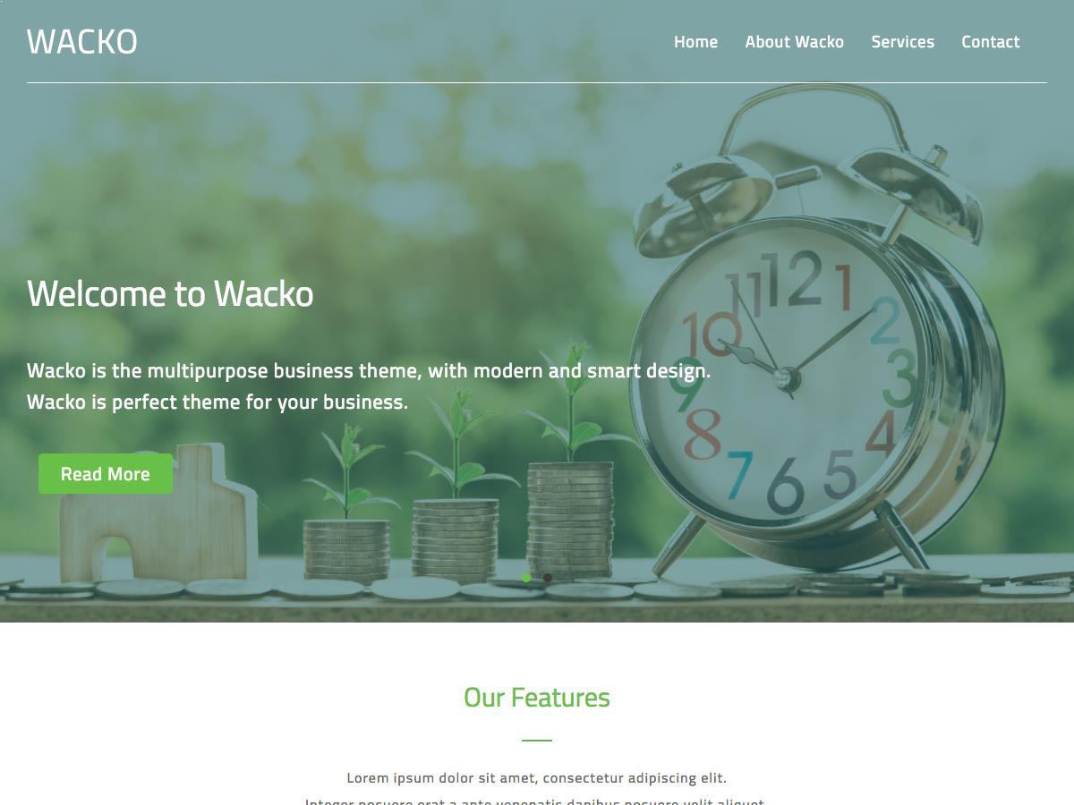 Wacko Preview Wordpress Theme - Rating, Reviews, Preview, Demo & Download