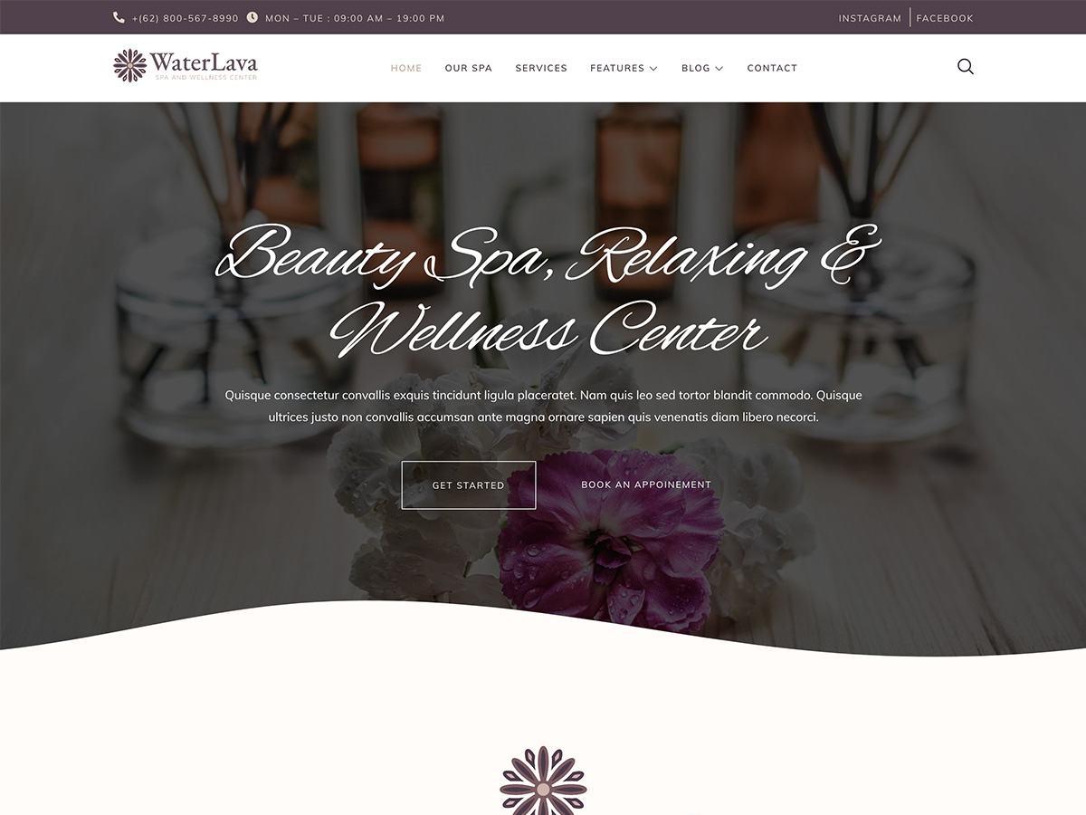 Waterlava Preview Wordpress Theme - Rating, Reviews, Preview, Demo & Download