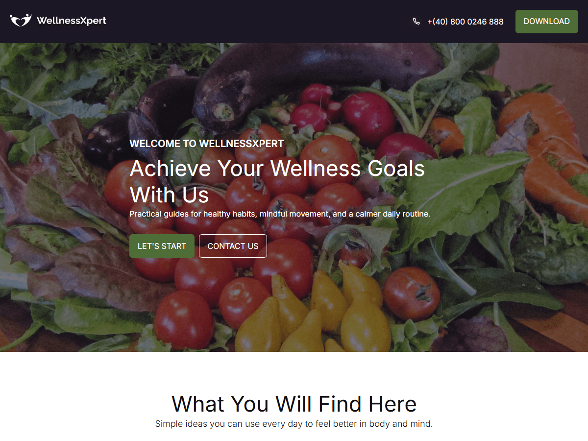 WellnessXpert Preview Wordpress Theme - Rating, Reviews, Preview, Demo & Download