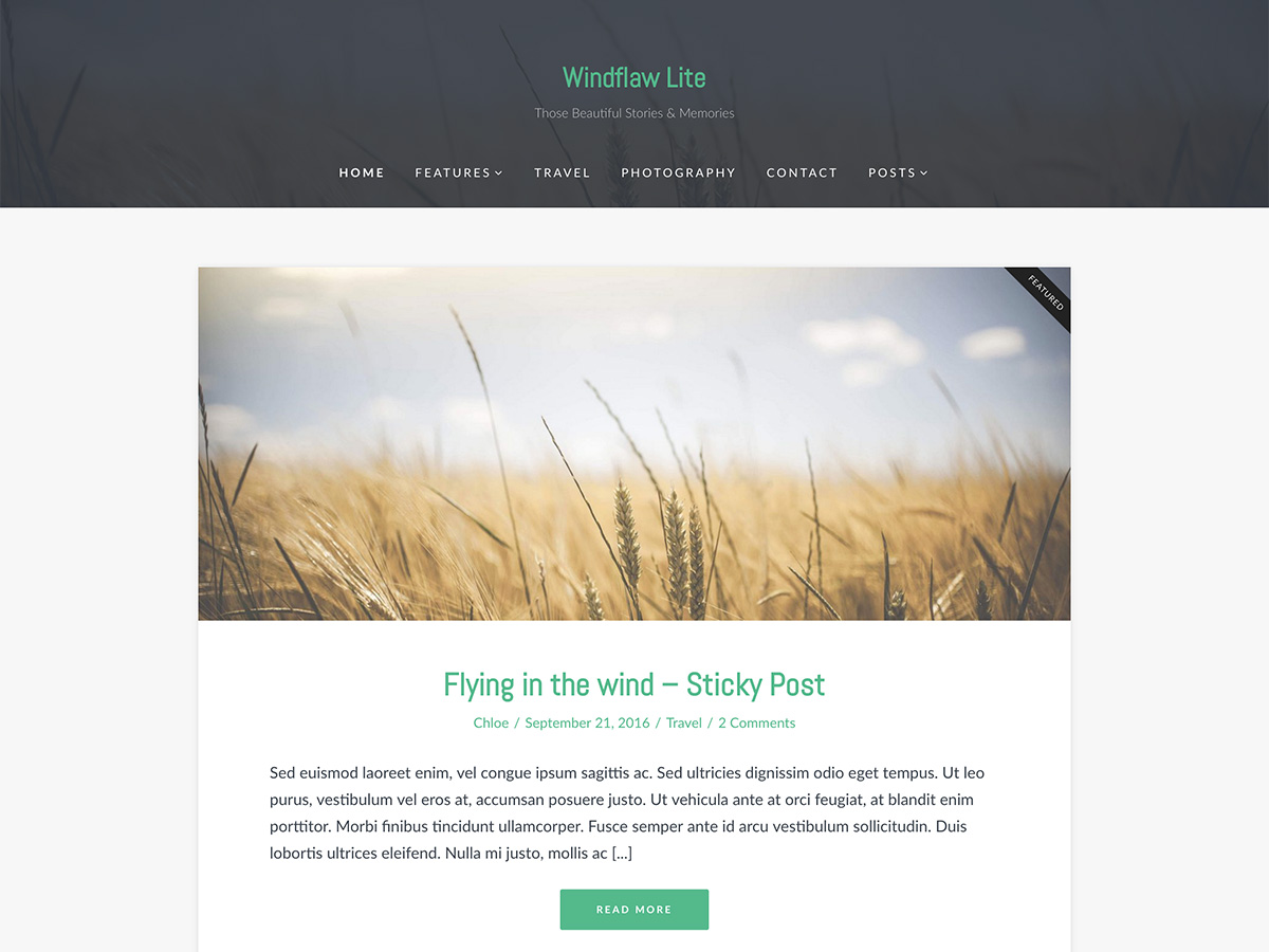 Windflaw Lite Preview Wordpress Theme - Rating, Reviews, Preview, Demo & Download