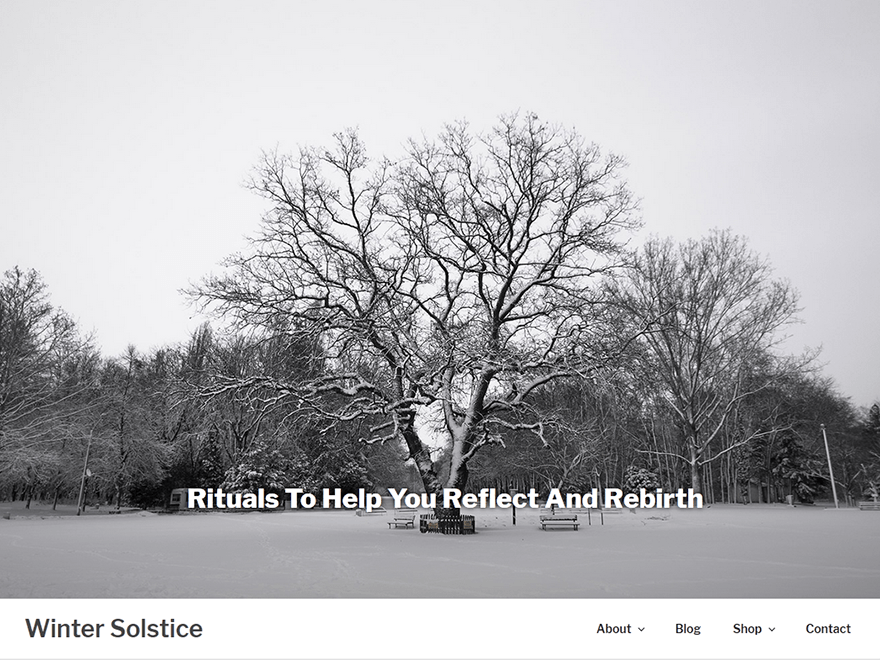 Winter Solstice Preview Wordpress Theme - Rating, Reviews, Preview, Demo & Download