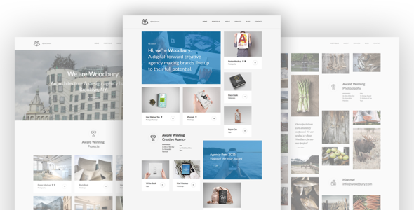 Woodbury Preview Wordpress Theme - Rating, Reviews, Preview, Demo & Download