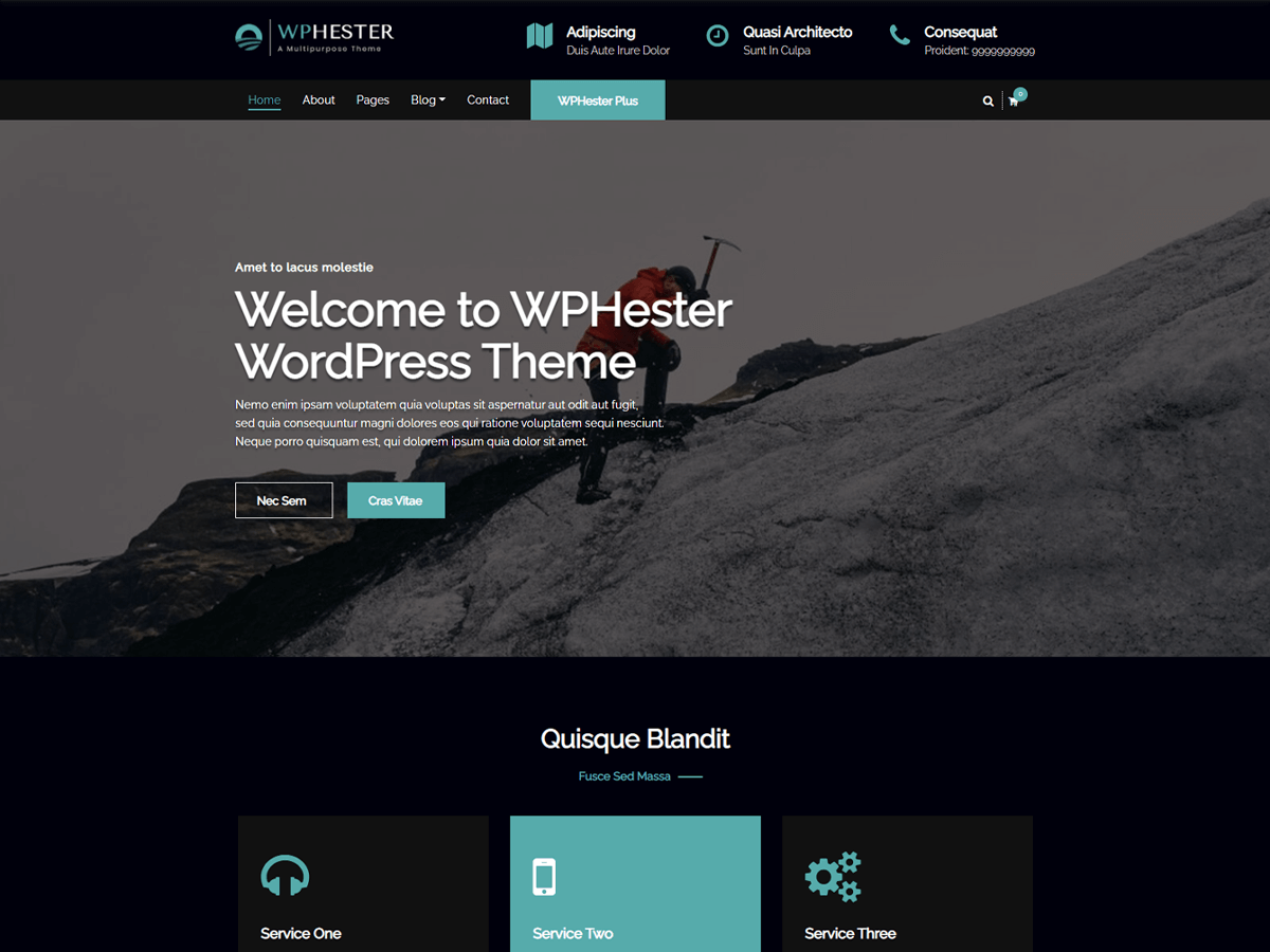 WPHester Preview Wordpress Theme - Rating, Reviews, Preview, Demo & Download