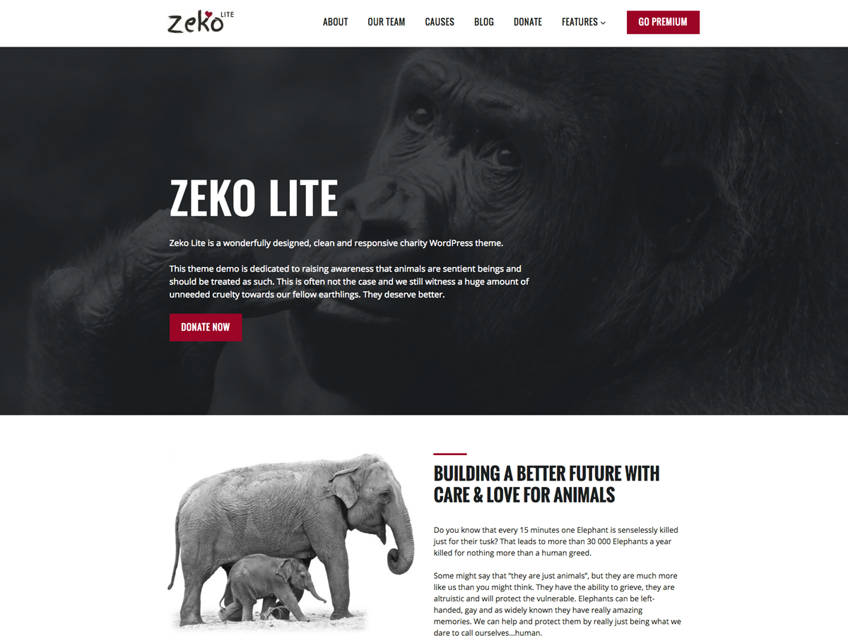 Zeko Lite Preview Wordpress Theme - Rating, Reviews, Preview, Demo & Download