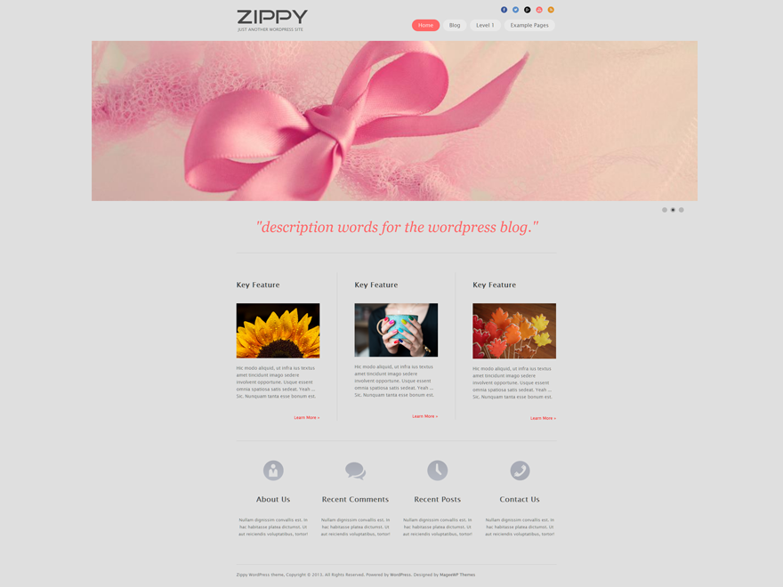 Zippy Preview Wordpress Theme - Rating, Reviews, Preview, Demo & Download